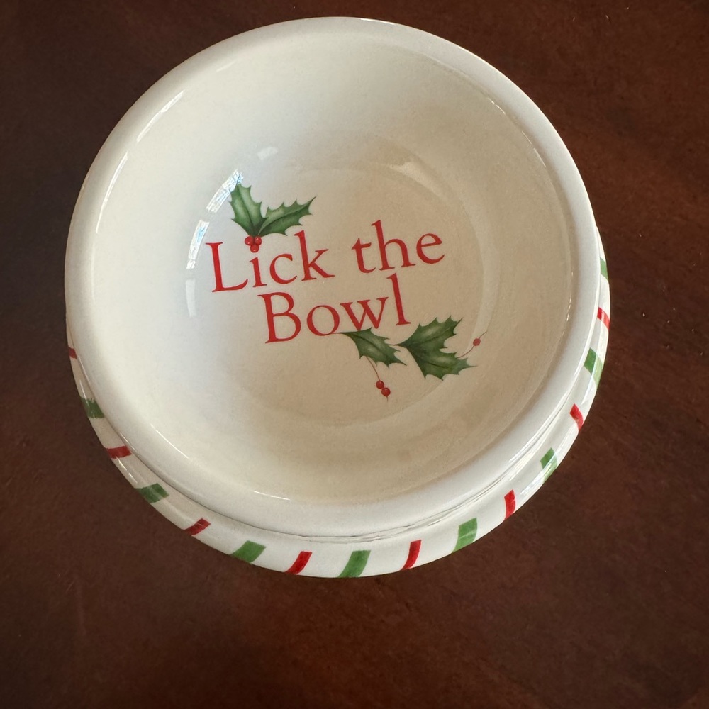 NWT Lenox Pet Bowl